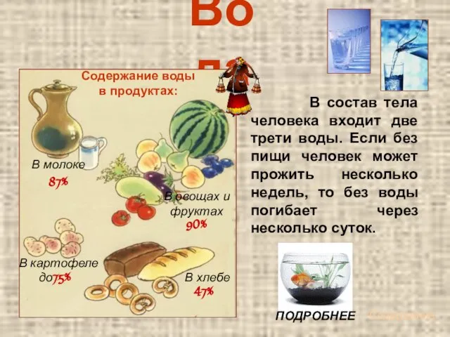 Вода Содержание воды в продуктах: В молоке В овощах и фруктах В