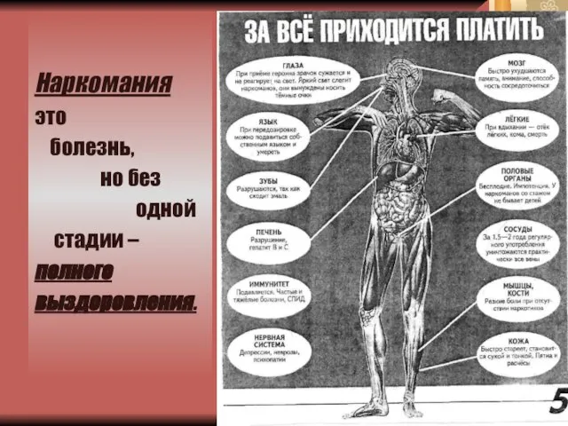 Наркомания это болезнь, но без одной стадии – полного выздоровления.