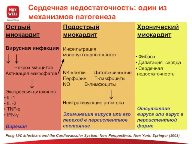 Сердечная недостаточность: один из механизмов патогенеза Острый миокардит Вирусная инфекция ↓ ↓