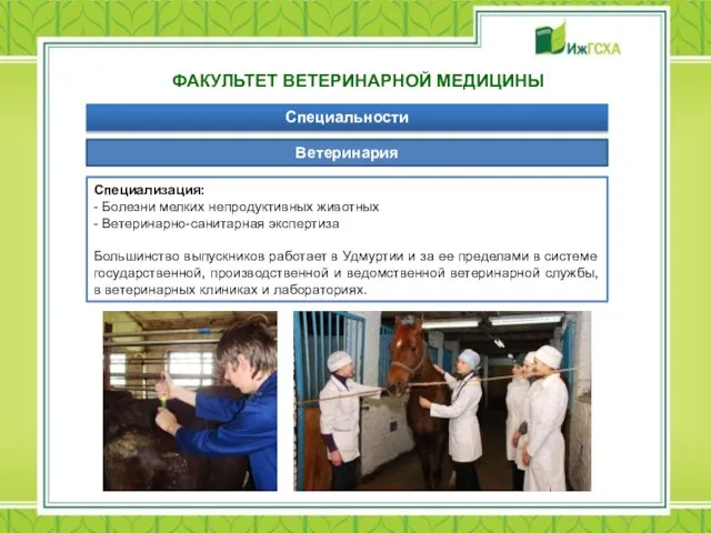 ФАКУЛЬТЕТ ВЕТЕРИНАРНОЙ МЕДИЦИНЫ