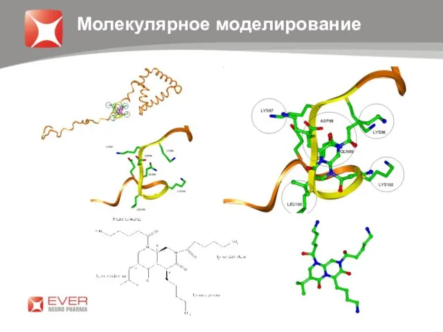 Молекулярное моделирование