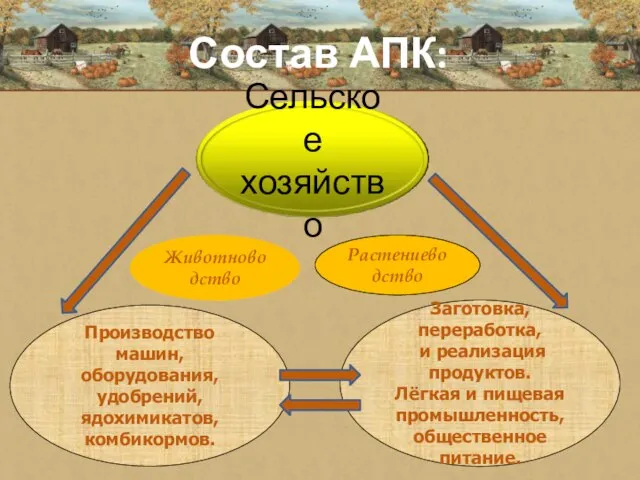 Состав АПК: Животноводство Растениеводство Производство машин, оборудования, удобрений, ядохимикатов, комбикормов. Заготовка, переработка,