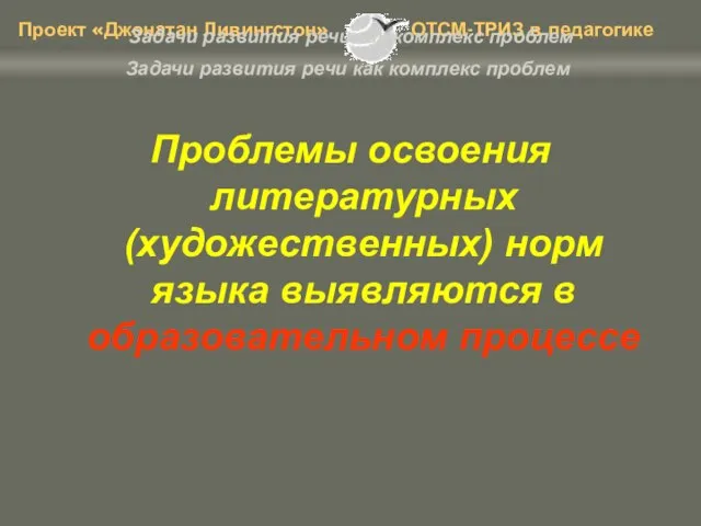 Задачи развития речи как комплекс проблем Проблемы освоения литературных (художественных) норм языка