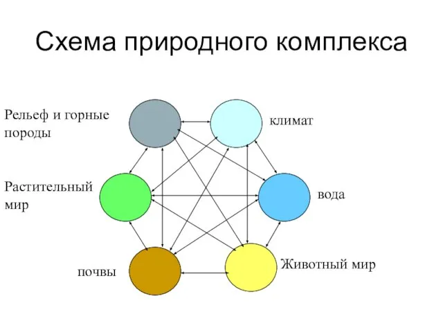 Схема природного комплекса климат вода Животный мир почвы Растительный мир Рельеф и горные породы