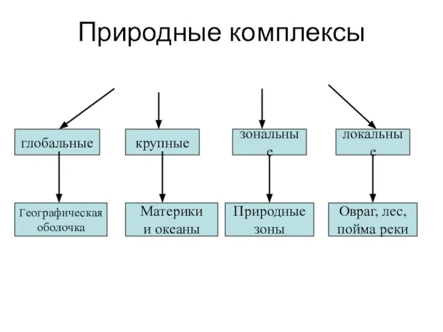 Природные комплексы глобальные крупные зональные локальные Географическая оболочка Материки и океаны Природные