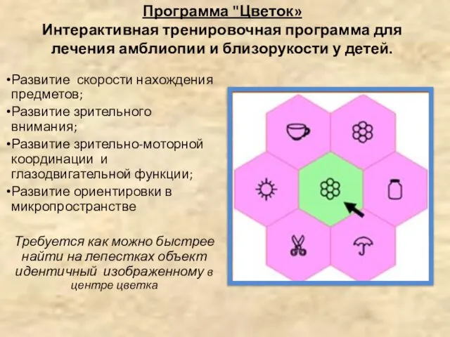 Программа "Цветок» Интерактивная тренировочная программа для лечения амблиопии и близорукости у детей.