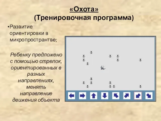 «Охота» (Тренировочная программа) Развитие ориентировки в микропространтве; Ребенку предложено с помощью стрелок,