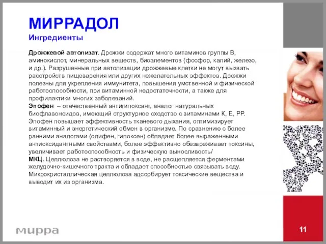 11 Дрожжевой автолизат. Дрожжи содержат много витаминов группы В, аминокислот, минеральных веществ,