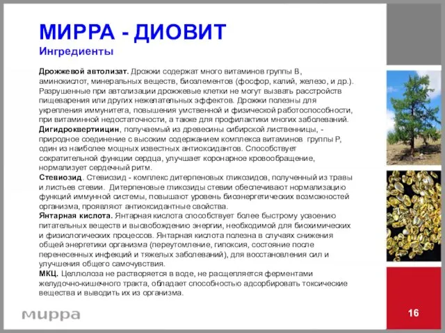 16 Дрожжевой автолизат. Дрожжи содержат много витаминов группы В, аминокислот, минеральных веществ,