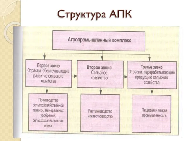 Структура АПК