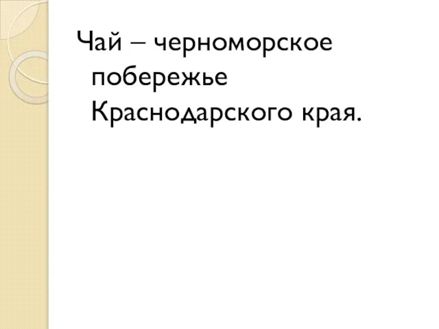 Чай – черноморское побережье Краснодарского края.