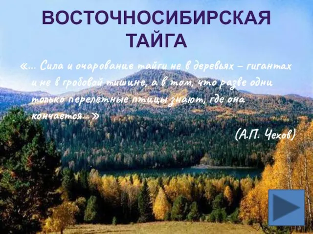 ВОСТОЧНОСИБИРСКАЯ ТАЙГА «… Сила и очарование тайги не в деревьях – гигантах