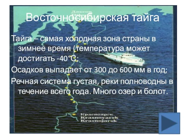 Восточносибирская тайга Тайга – самая холодная зона страны в зимнее время (температура