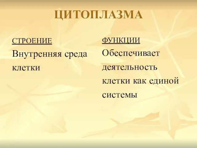 ЦИТОПЛАЗМА СТРОЕНИЕ Внутренняя среда клетки ФУНКЦИИ Обеспечивает деятельность клетки как единой системы