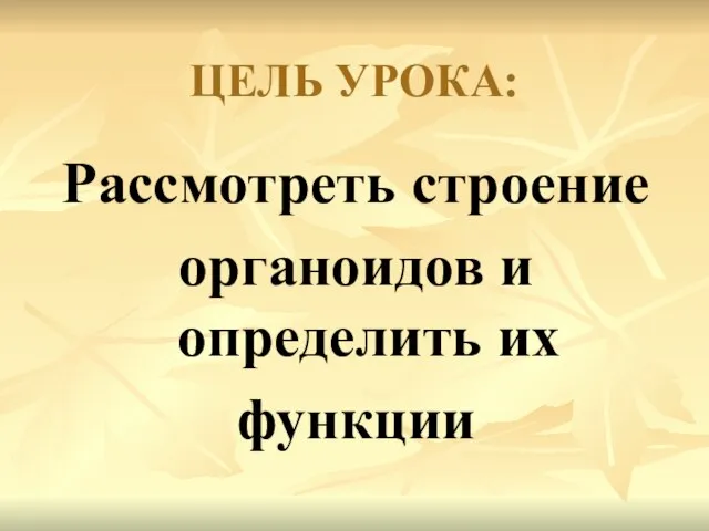 ЦЕЛЬ УРОКА: Рассмотреть строение органоидов и определить их функции