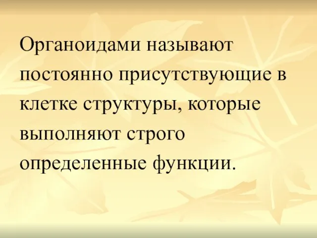 Органоидами называют постоянно присутствующие в клетке структуры, которые выполняют строго определенные функции.