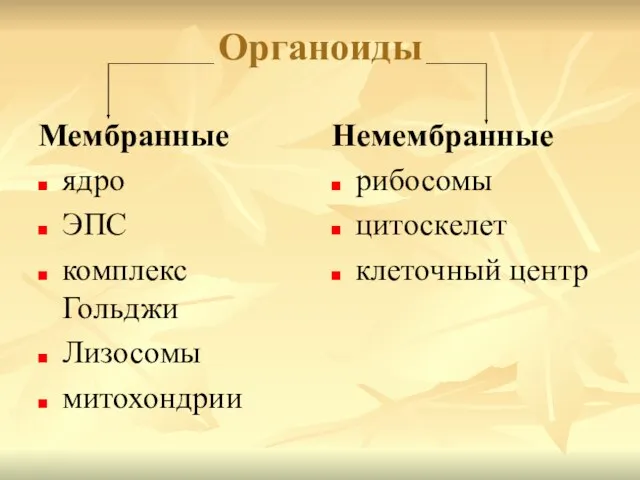 Органоиды Мембранные ядро ЭПС комплекс Гольджи Лизосомы митохондрии Немембранные рибосомы цитоскелет клеточный центр