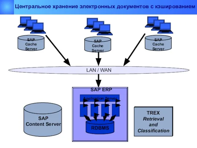 LAN / WAN SAP ERP RDBMS Application Server TREX Retrieval and Classification