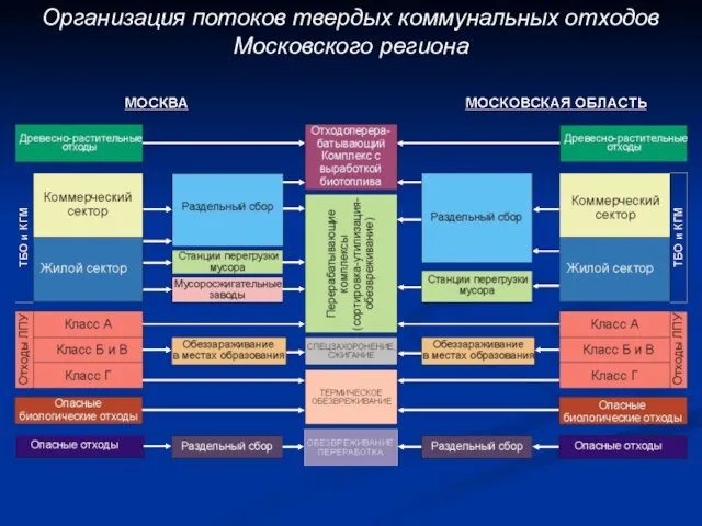 Организация потоков твердых коммунальных отходов Московского региона