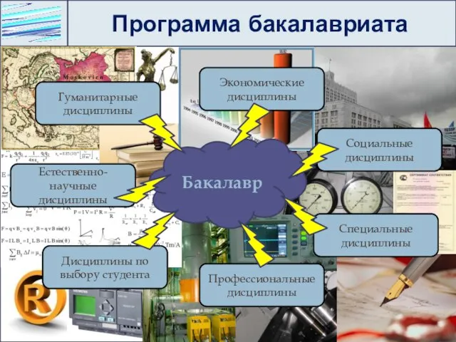 Программа бакалавриата Бакалавр Гуманитарные дисциплины Социальные дисциплины Экономические дисциплины Естественно-научные дисциплины Специальные