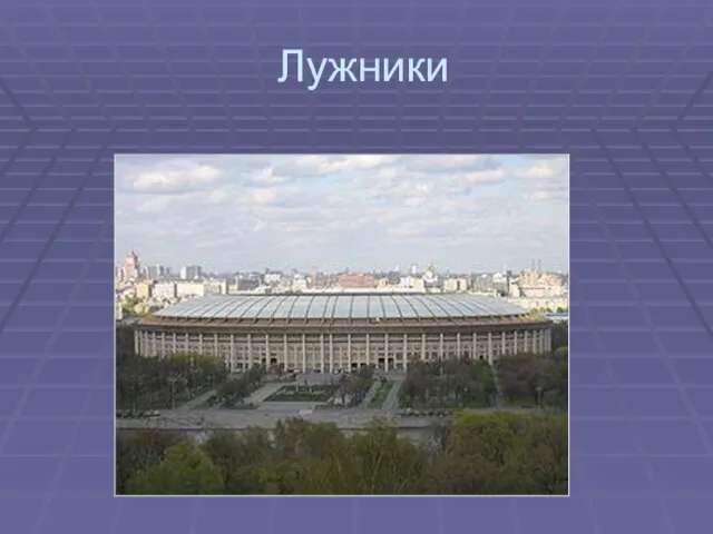 Лужники