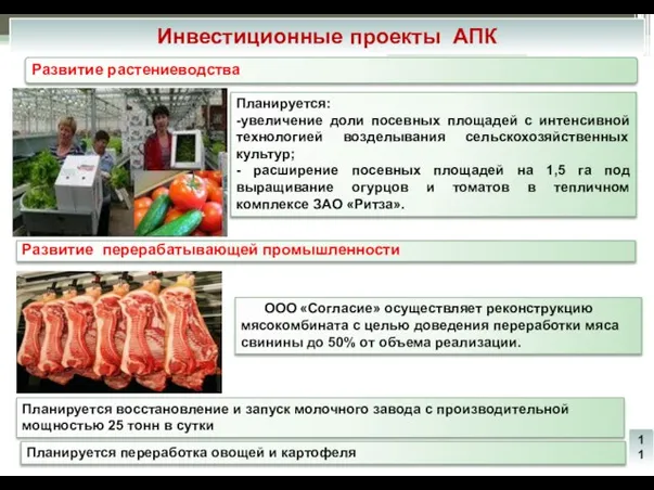 Инвестиционные проекты АПК Развитие перерабатывающей промышленности Развитие растениеводства Планируется: -увеличение доли посевных