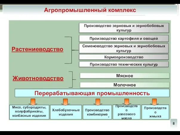 Производство зерновых и зернобобовых культур Производство картофеля и овощей Семеноводство зерновых и