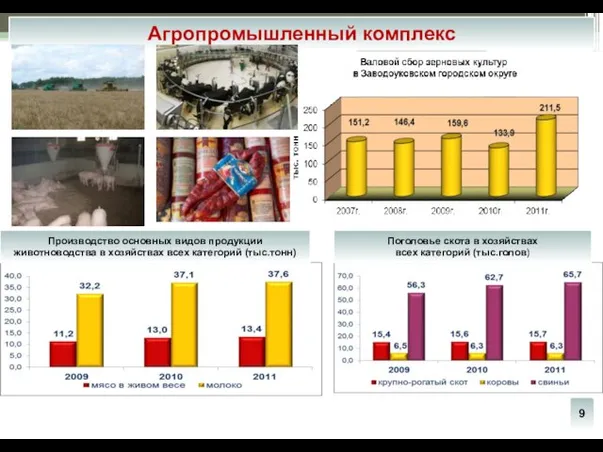 Агропромышленный комплекс 9 Поголовье скота в хозяйствах всех категорий (тыс.голов) Производство основных