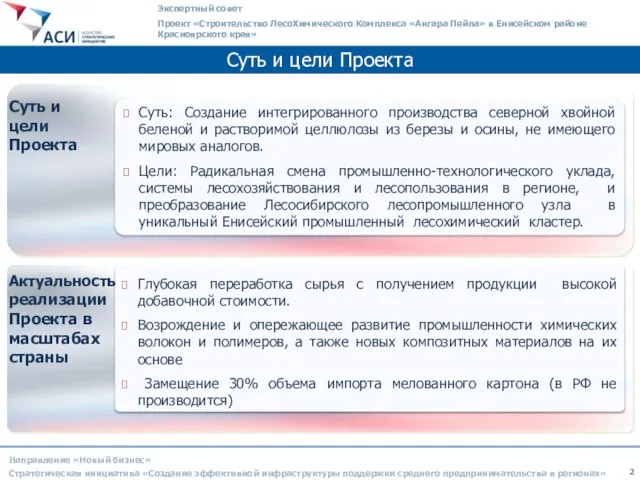 Суть и цели Проекта Экспертный совет Проект «Строительство ЛесоХимического Комплекса «Ангара Пейпа»