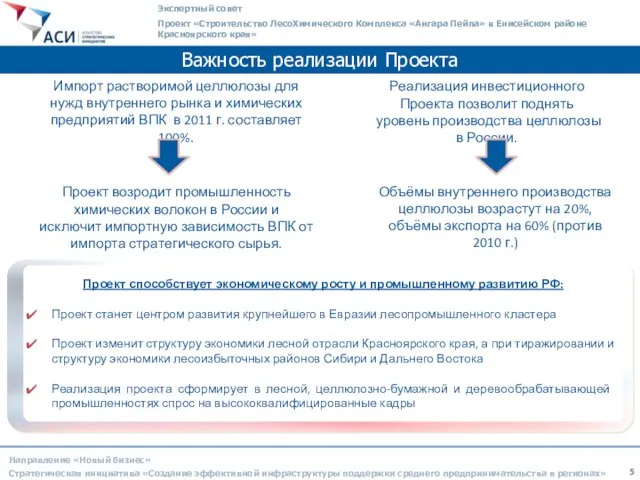 Важность реализации Проекта Направление «Новый бизнес» Стратегическая инициатива «Создание эффективной инфраструктуры поддержки