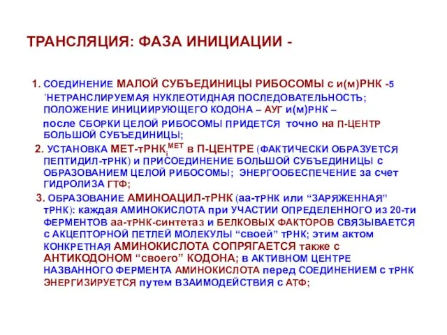 ТРАНСЛЯЦИЯ: ФАЗА ИНИЦИАЦИИ - 1. СОЕДИНЕНИЕ МАЛОЙ СУБЪЕДИНИЦЫ РИБОСОМЫ с и(м)РНК -5΄НЕТРАНСЛИРУЕМАЯ