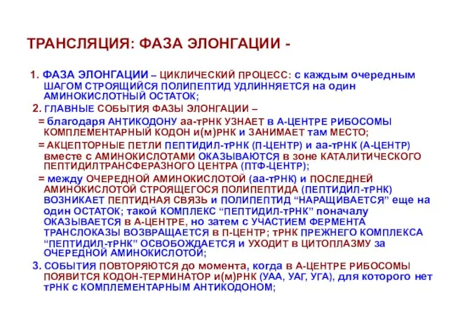 ТРАНСЛЯЦИЯ: ФАЗА ЭЛОНГАЦИИ - 1. ФАЗА ЭЛОНГАЦИИ – ЦИКЛИЧЕСКИЙ ПРОЦЕСС: с каждым