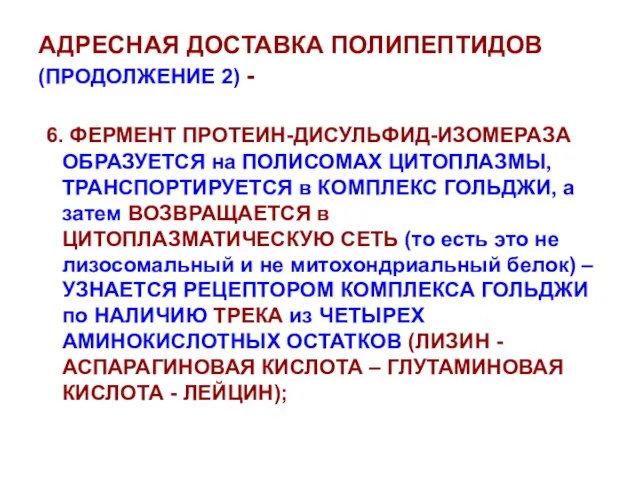 АДРЕСНАЯ ДОСТАВКА ПОЛИПЕПТИДОВ (ПРОДОЛЖЕНИЕ 2) - 6. ФЕРМЕНТ ПРОТЕИН-ДИСУЛЬФИД-ИЗОМЕРАЗА ОБРАЗУЕТСЯ на ПОЛИСОМАХ