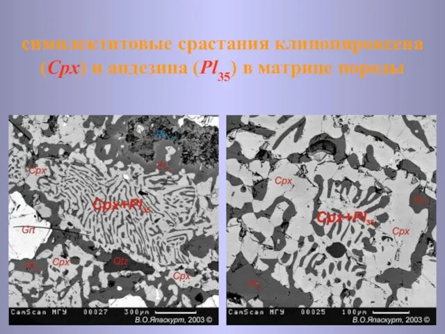 симплектитовые срастания клинопироксена (Cpx) и андезина (Pl35) в матрице породы