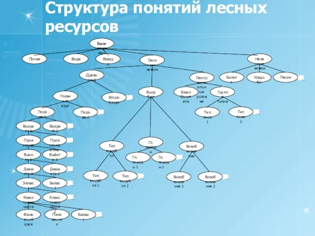 Структура понятий лесных ресурсов