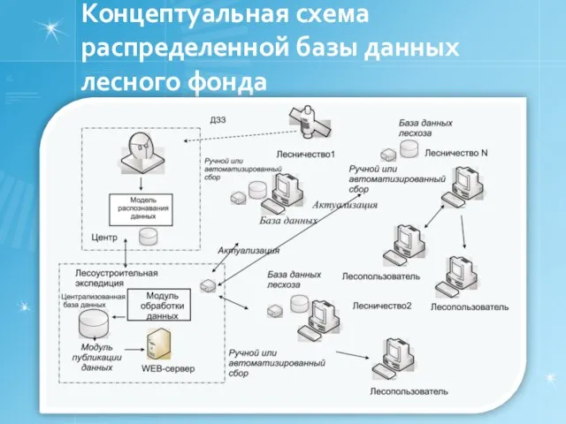 Концептуальная схема распределенной базы данных лесного фонда