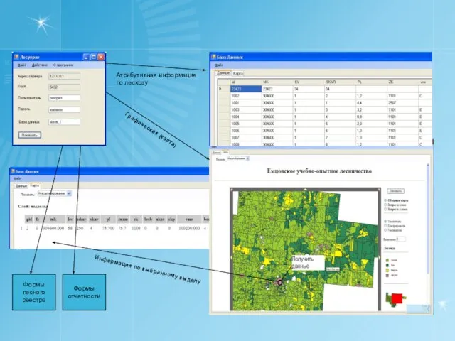 Атрибутивная информация по лесхозу Графическая (карта) Информация по выбранному выделу Формы лесного реестра Формы отчетности