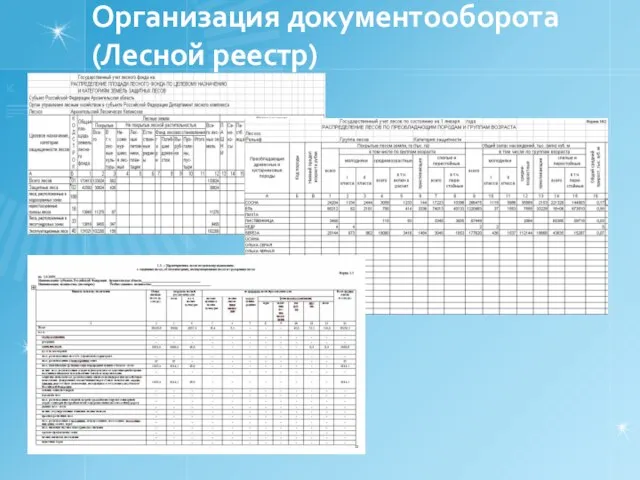 Организация документооборота (Лесной реестр)