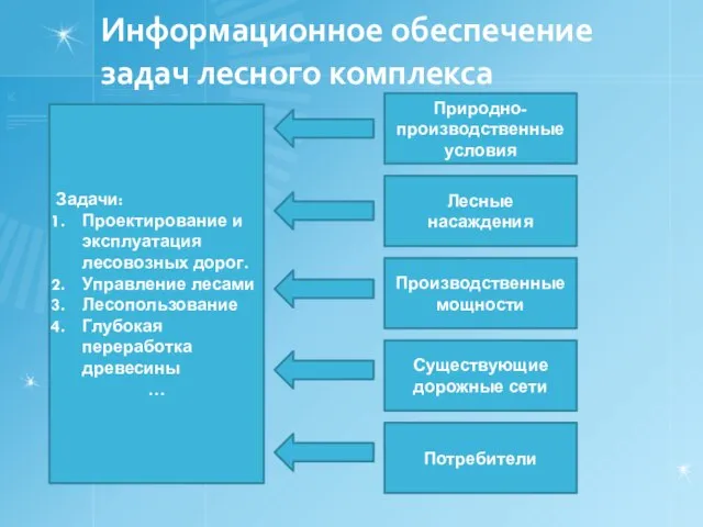 Информационное обеспечение задач лесного комплекса Задачи: Проектирование и эксплуатация лесовозных дорог. Управление