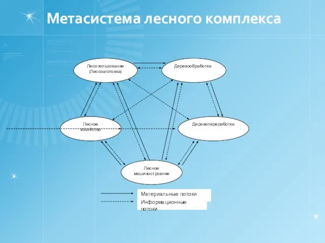 Метасистема лесного комплекса