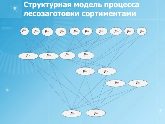 Структурная модель процесса лесозаготовки сортиментами