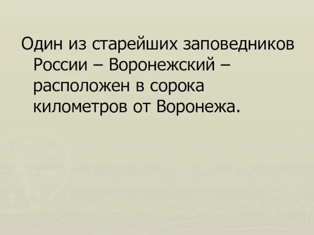 Один из старейших заповедников России – Воронежский – расположен в сорока километров от Воронежа.