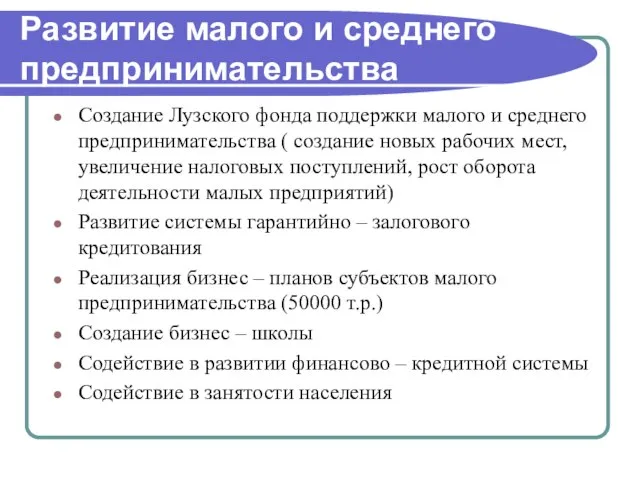 Развитие малого и среднего предпринимательства Создание Лузского фонда поддержки малого и среднего