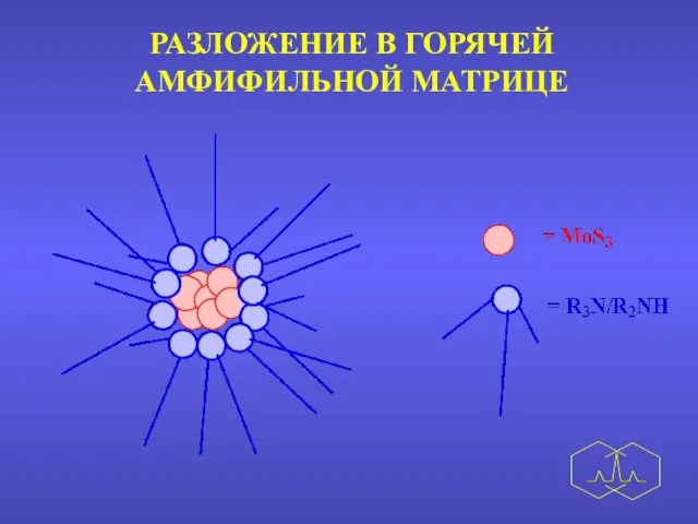 РАЗЛОЖЕНИЕ В ГОРЯЧЕЙ АМФИФИЛЬНОЙ МАТРИЦЕ