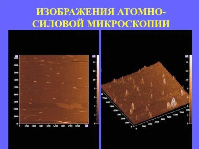 ИЗОБРАЖЕНИЯ АТОМНО-СИЛОВОЙ МИКРОСКОПИИ