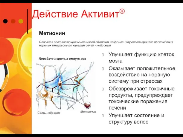 Действие Активит® Улучшает функцию клеток мозга Оказывает положительное воздействие на нервную систему