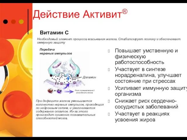 Допамин Fe С + Рост познавательной способности мозга Действие Активит® Повышает умственную