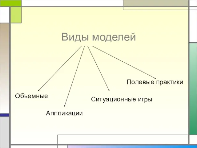 Виды моделей Объемные Аппликации Ситуационные игры Полевые практики