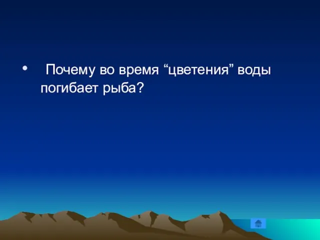 Почему во время “цветения” воды погибает рыба?