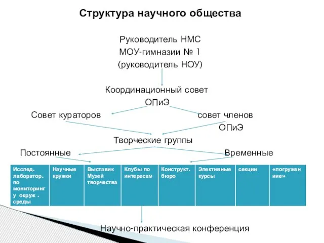 Структура научного общества Руководитель НМС МОУ-гимназии № 1 (руководитель НОУ) Координационный совет